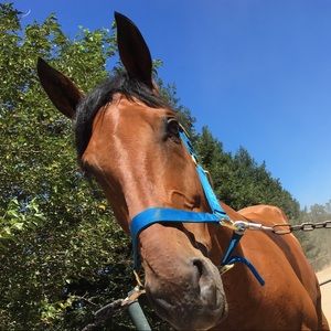 Meet your Posher, Melanie